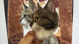 Handcrafted Custom Pet Plush: The Art Behind Every Stitch