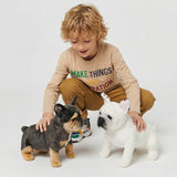 Petdaer vs Cuddle Clones: Better Value, Faster Turnaround, More Control
