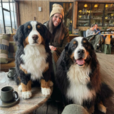 Turn Your Pet Into a Plush: A Meaningful Way to Keep Their Memory Alive