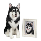 How to Choose Photos for a Custom Pet Plush That Really Looks Like Your Pet