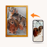 Pet Portraits
