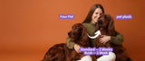 custom pet plush from photo - personalized stuffed animal by Petdaer