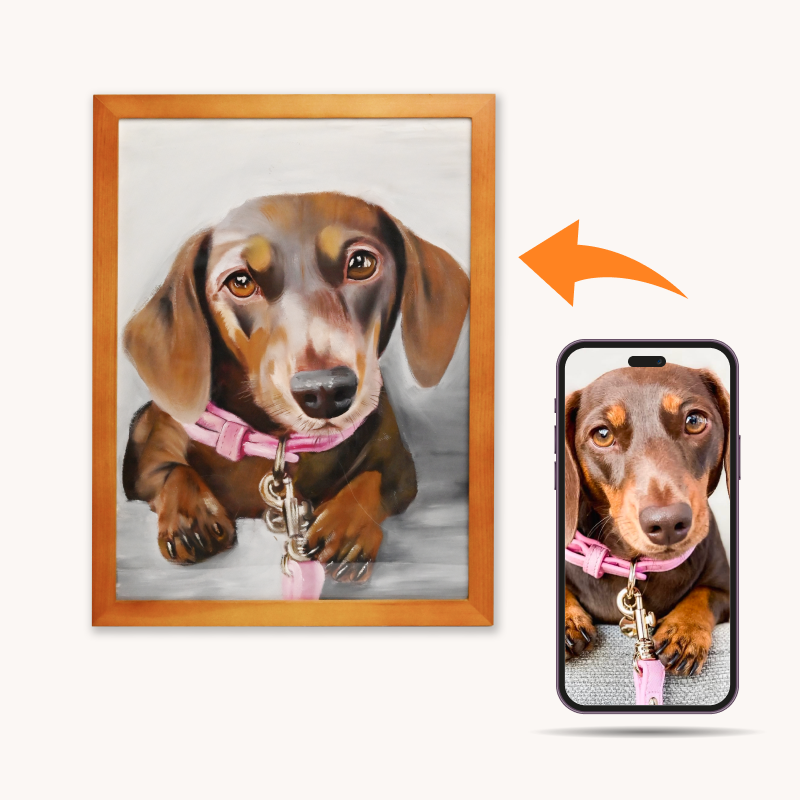 Pet Portraits