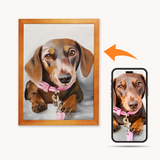 Pet Portraits