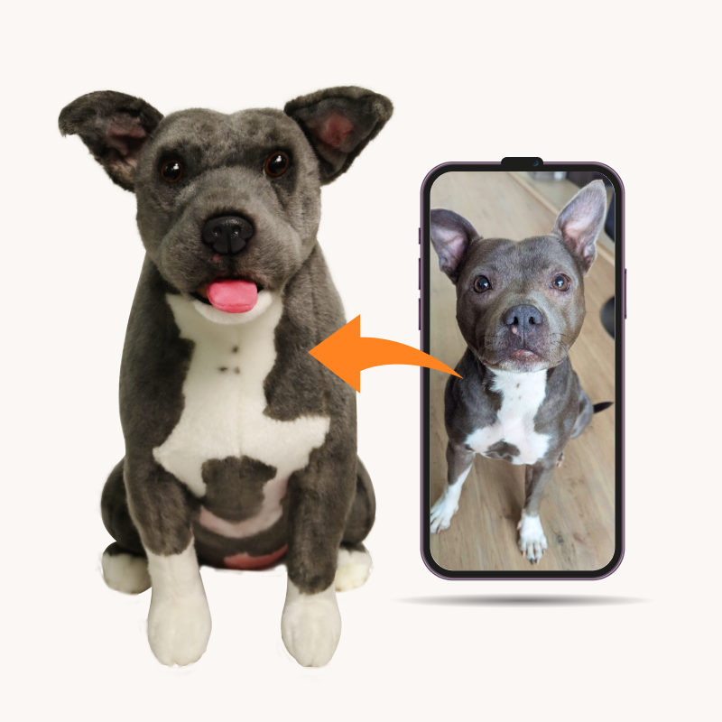 Custom Pet Plush