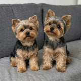 custom pet plush from photo - personalized stuffed animal by Petdaer