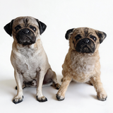 Custom Dog & Cat Stuffed Animal from Photo | Personalized Pet Memorial Gift