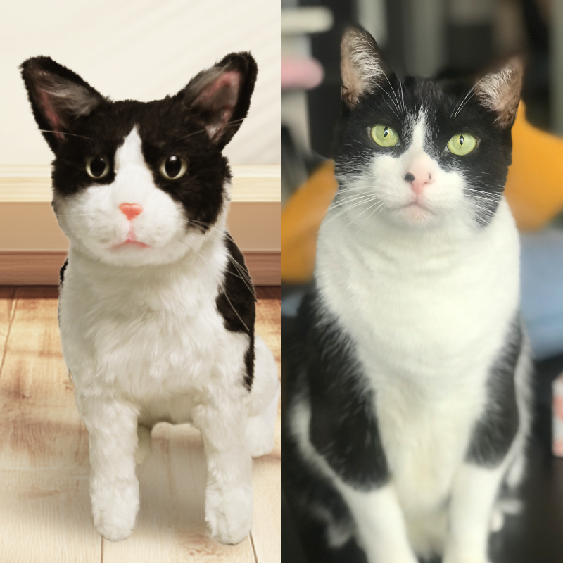 Custom Pet Plush