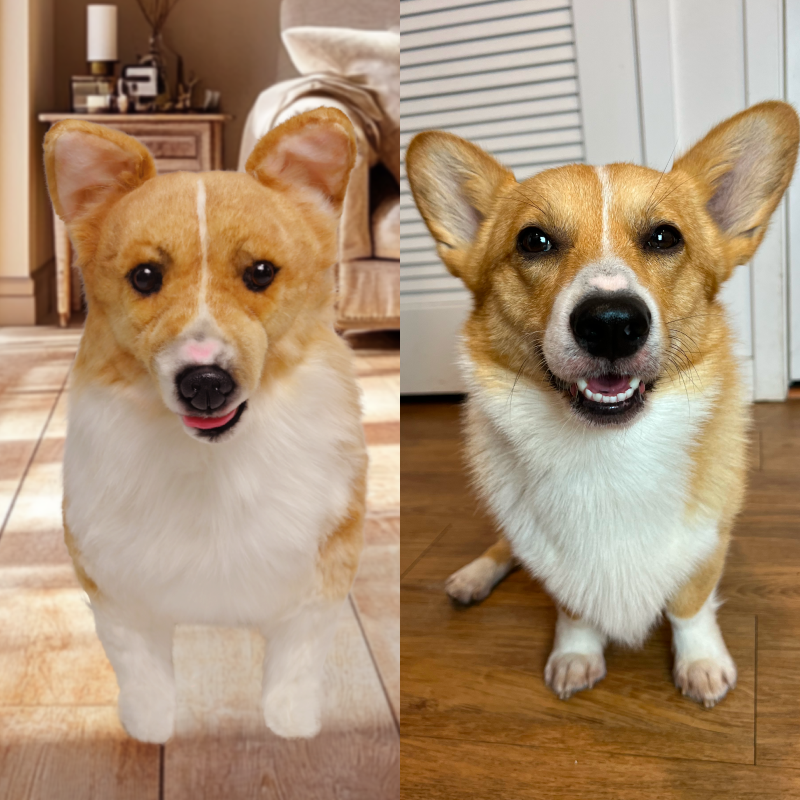 Custom Pet Plush