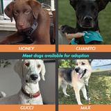 Every Purchase Supports Shelter Animals - custom pet plush from photo