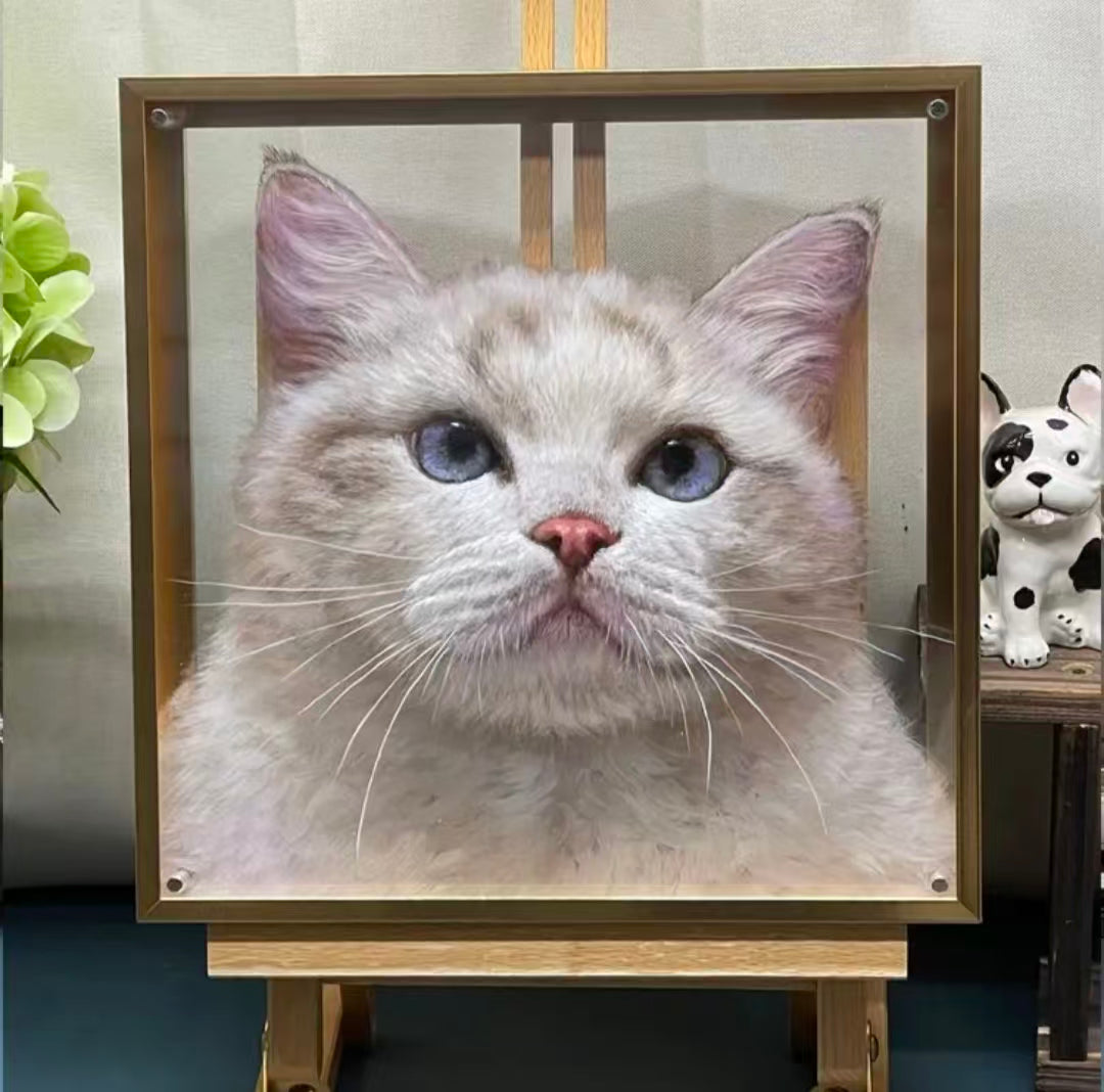 3D Pet Portrait