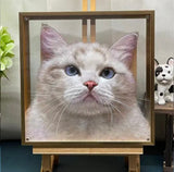 3D Pet Portrait