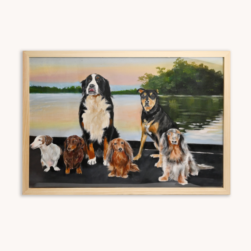 Pet Portraits