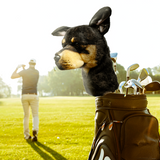 Custom Golf Club Headcover