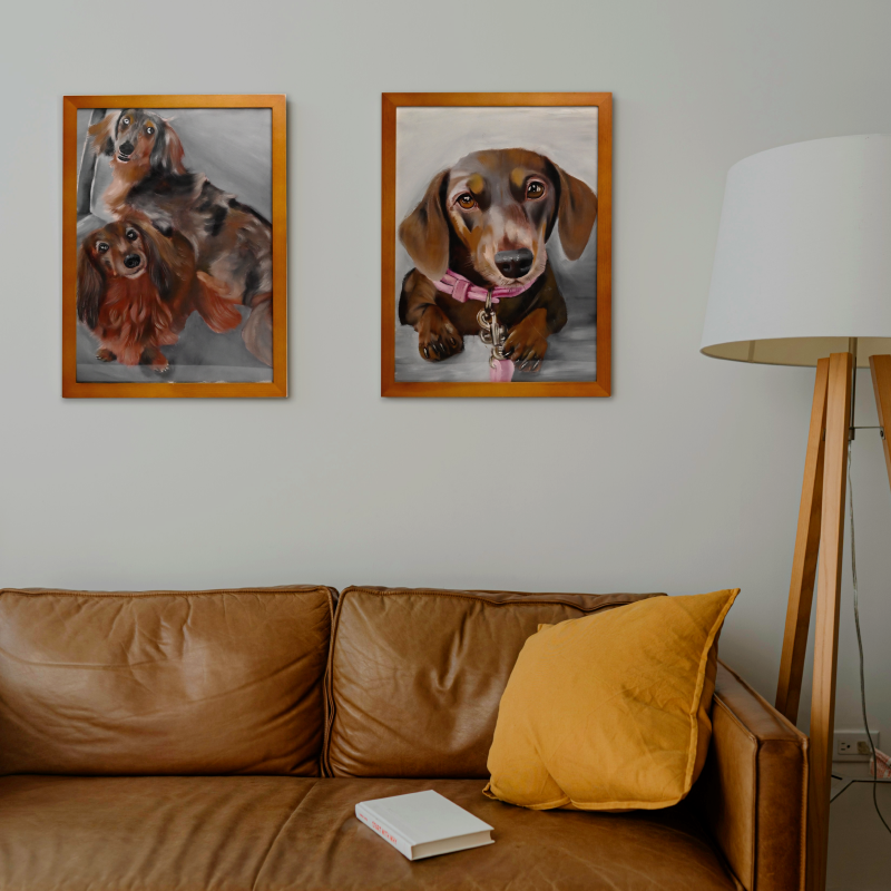 Pet Portraits