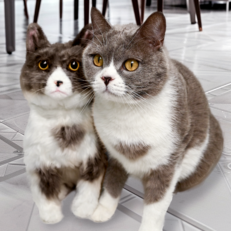 Custom Pet Plush
