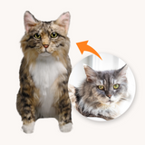 Custom Pet Plush