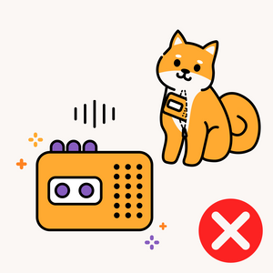 No - Recorder