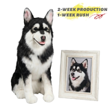 Custom Pet Plush