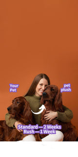 custom pet plush from photo - personalized stuffed animal by Petdaer
