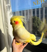 e7c56c63f5ae3c2d0add034b3d3135e6